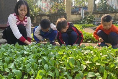 Bé trải nghiệm thăm vườn rau – Trường mầm non Đức Lý xã Nam Xang