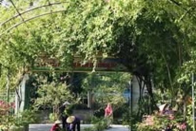 CB, GV, NV trường mầm non Đức Lý xã Nam Xang lao động dọn vệ sinh chuẩn bị năm học mới